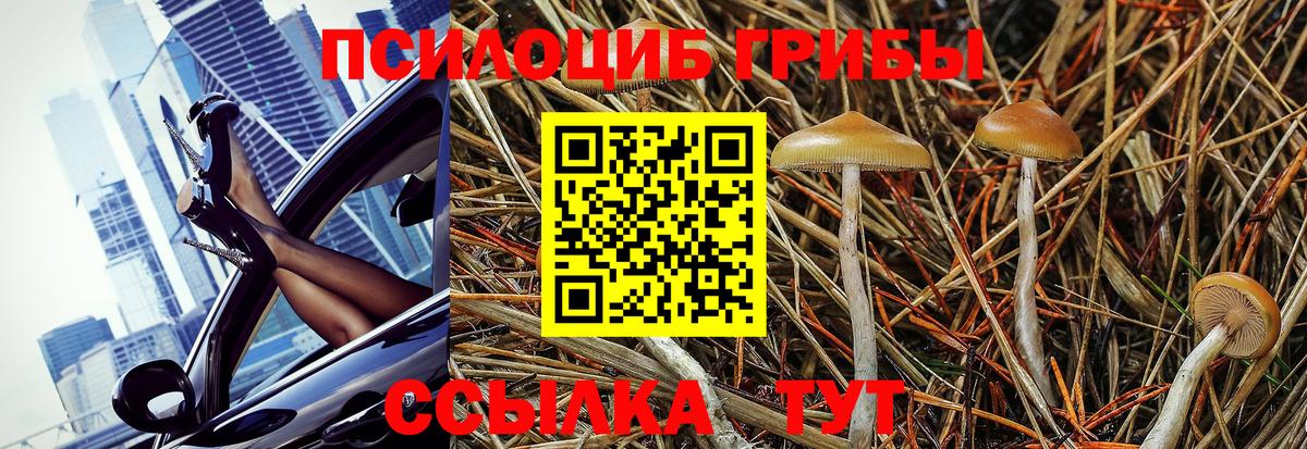Сатка  Псилоцибиновые грибы мухоморы  Вход с VPN 